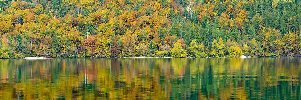 #160487-1 - Lake Bohinj Reflections, Slovenia