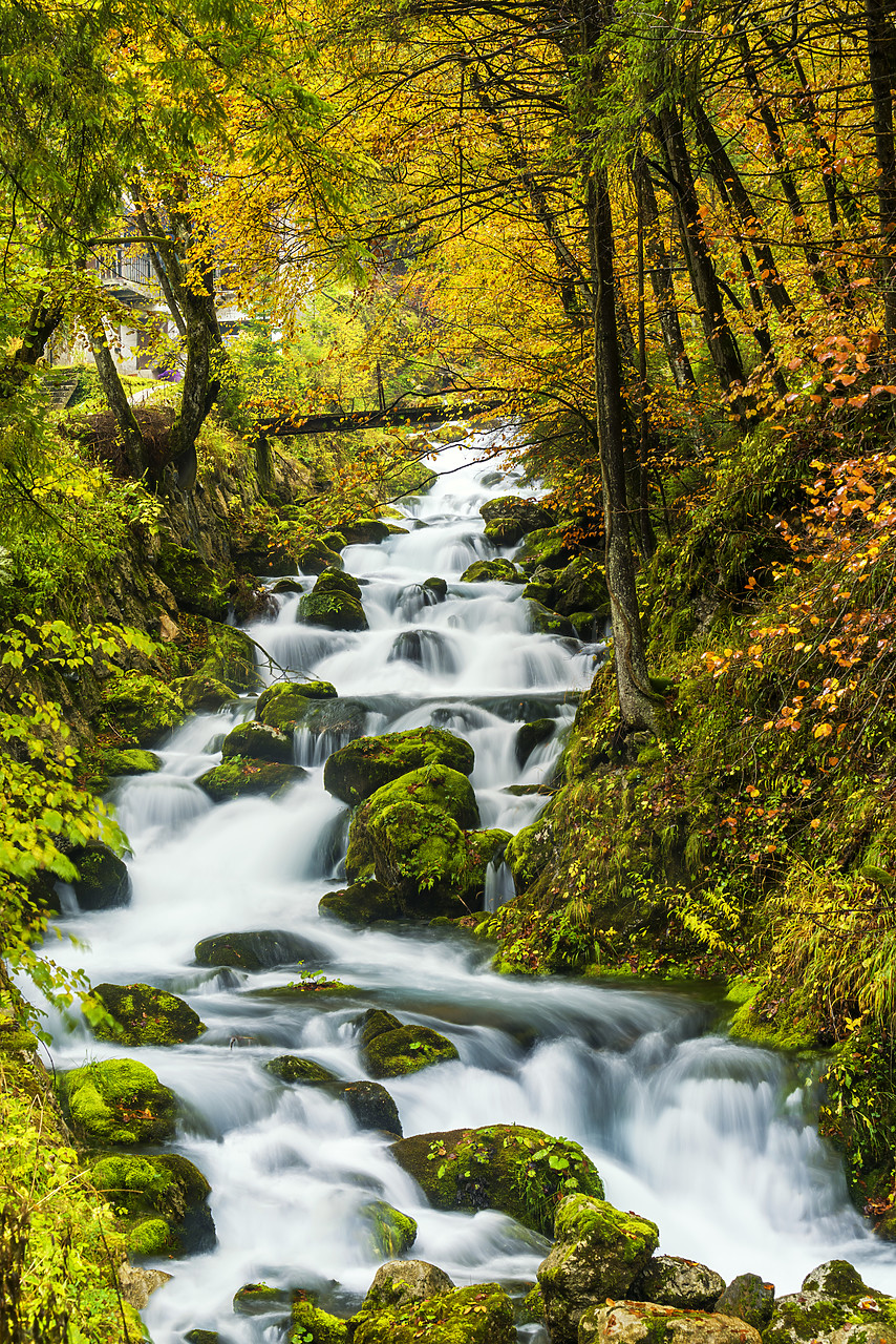 #160491-1 - Cascading Stream in Autumn, Slovenia