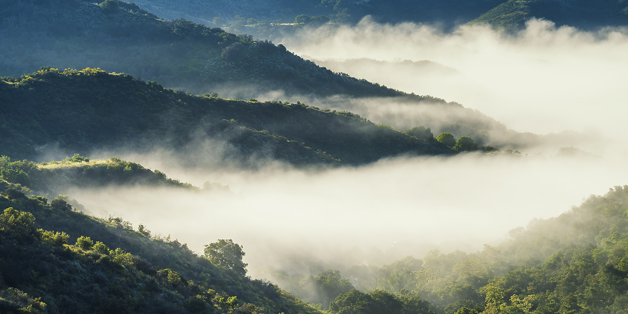 #170160-1 - Mist in Santa Monica Mountains, California, USA