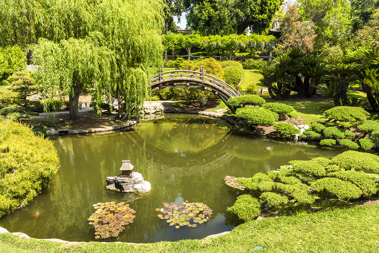 #170180-1 - Japanese Garden Pond, Huntington Botanical Gardens, San Marino, California, USA