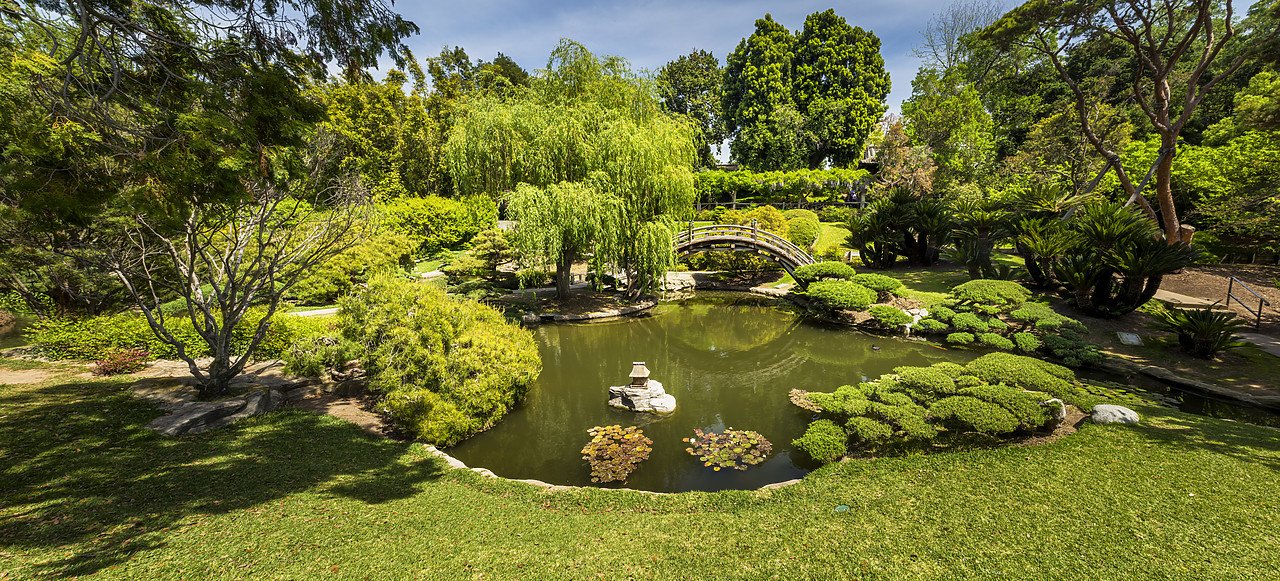 #170180-2 - Japanese Garden Pond, Huntington Botanical Gardens, San Marino, California, USA