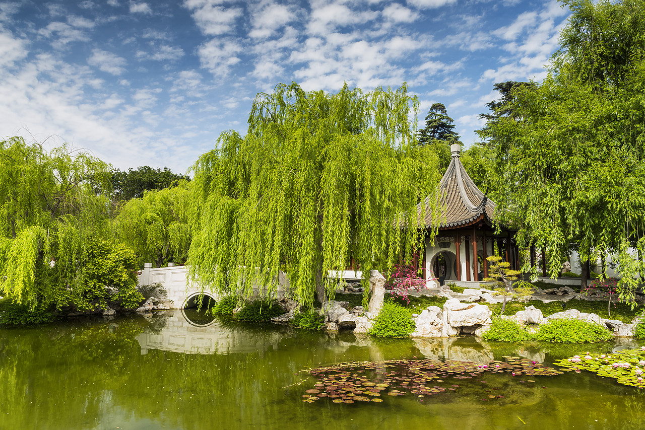 #170181-1 - Chinese Garden Pond, Huntington Botanical Gardens, San Marino, California, USA