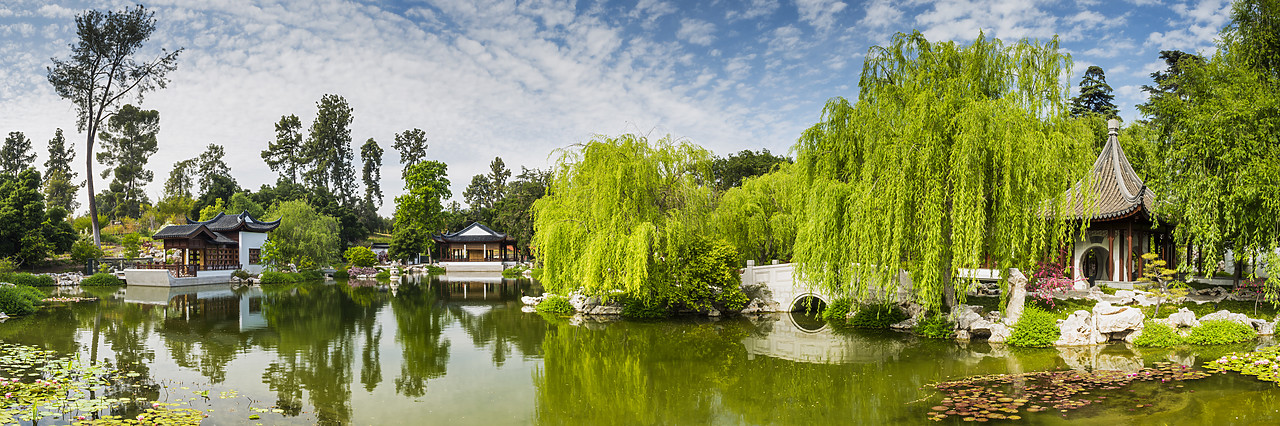 #170181-2 - Chinese Garden Pond, Huntington Botanical Gardens, San Marino, California, USA