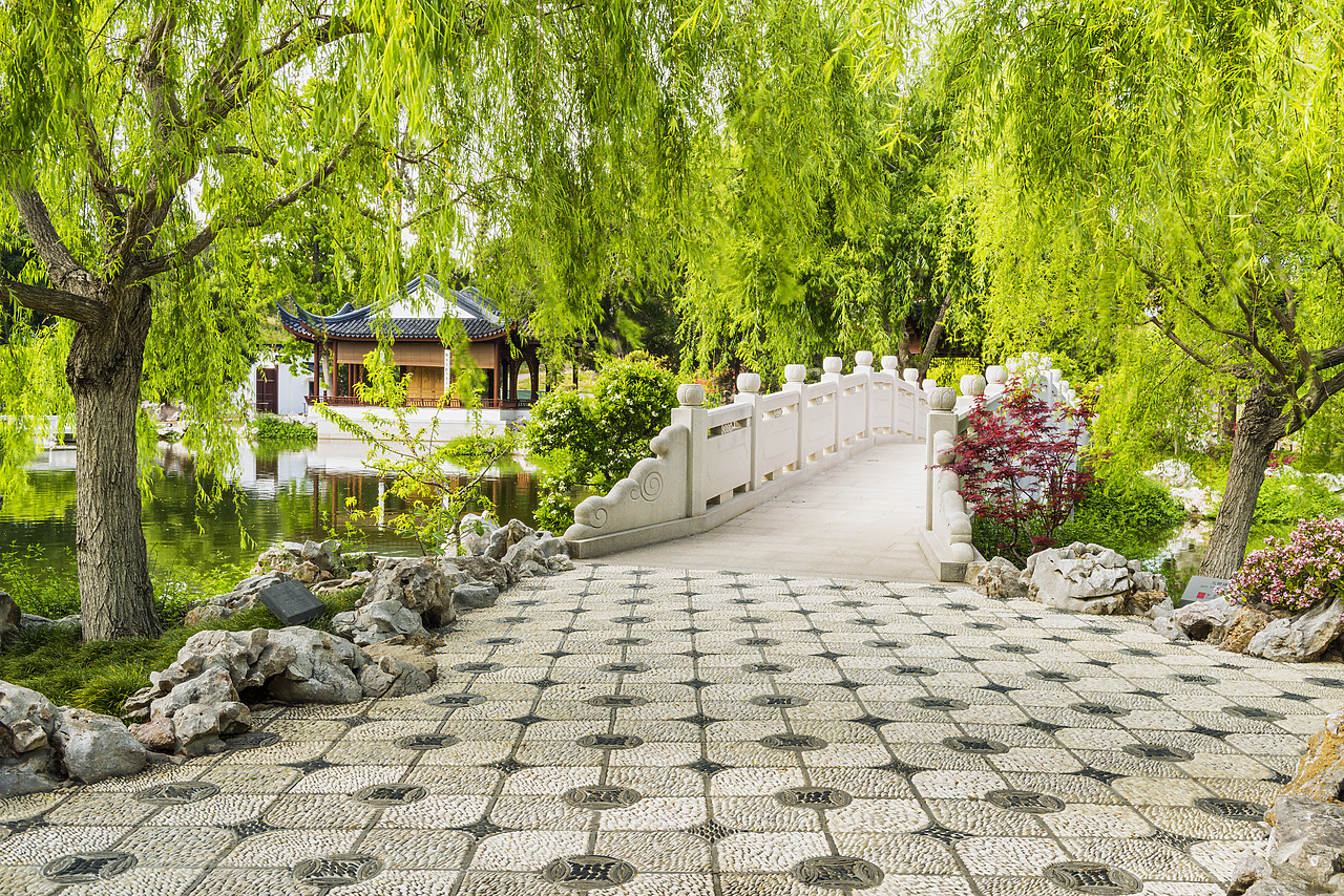 #170182-1 - Pathway Through Chinese Garden, Huntington Botanical Gardens, San Marino, California, USA