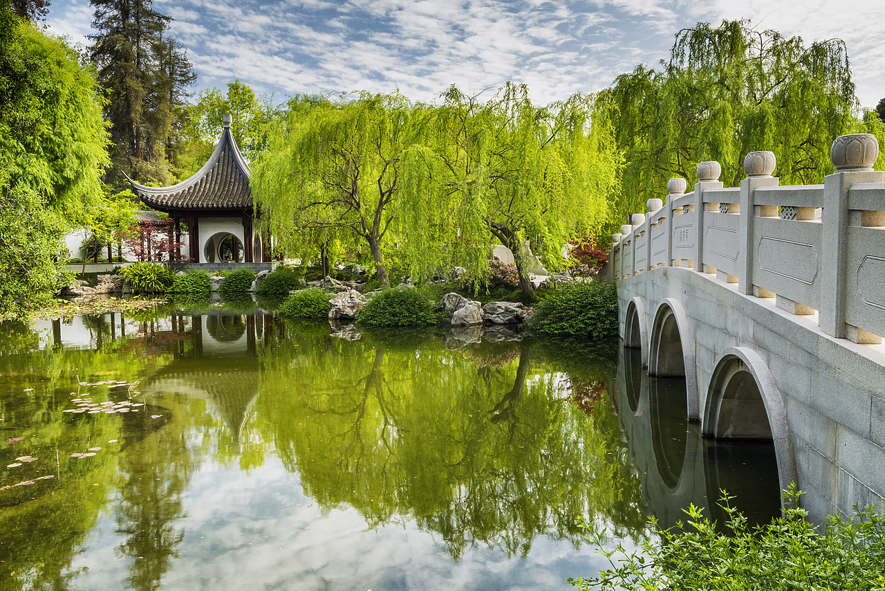 #170183-1 - Chinese Garden Pond, Huntington Botanical Gardens, San Marino, California, USA