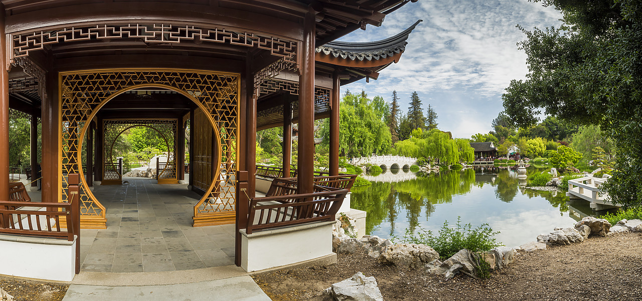 #170184-1 - Chinese Garden Pond, Huntington Botanical Gardens, San Marino, California, USA
