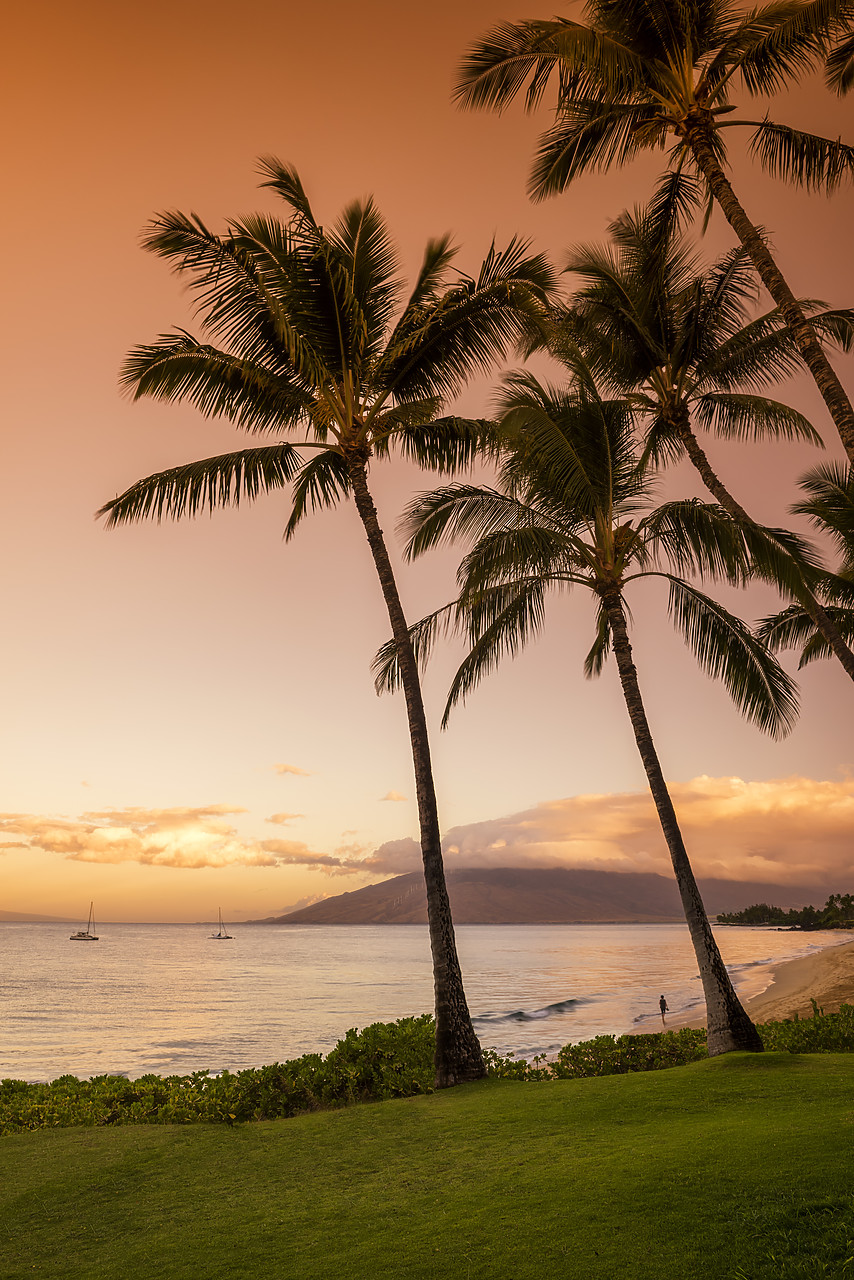#170426-2 - Palm Trees at Sunset, Kamaole Beach Park, Kihei, Maui, Hawaii, USA