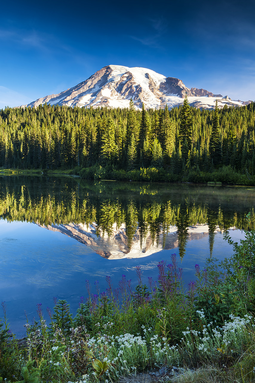 #170464-1 - Mt. Rainier Reflecting in Reflection Lake, Mt. Rainier National Park, Washington, USA