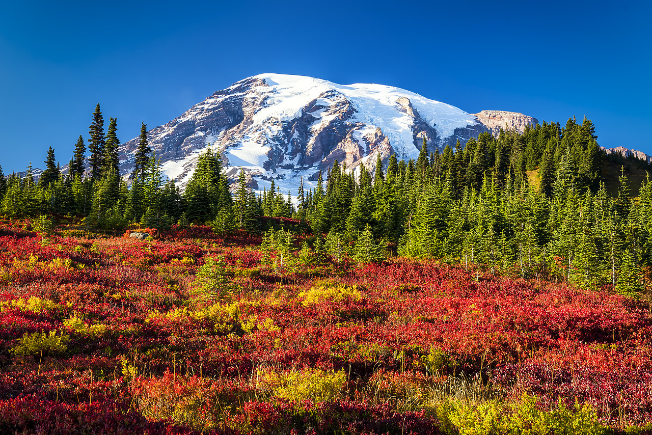 #170489-1 - Mt. Rainier in Autumn, Mt. Rainier National Park, Washington, USA