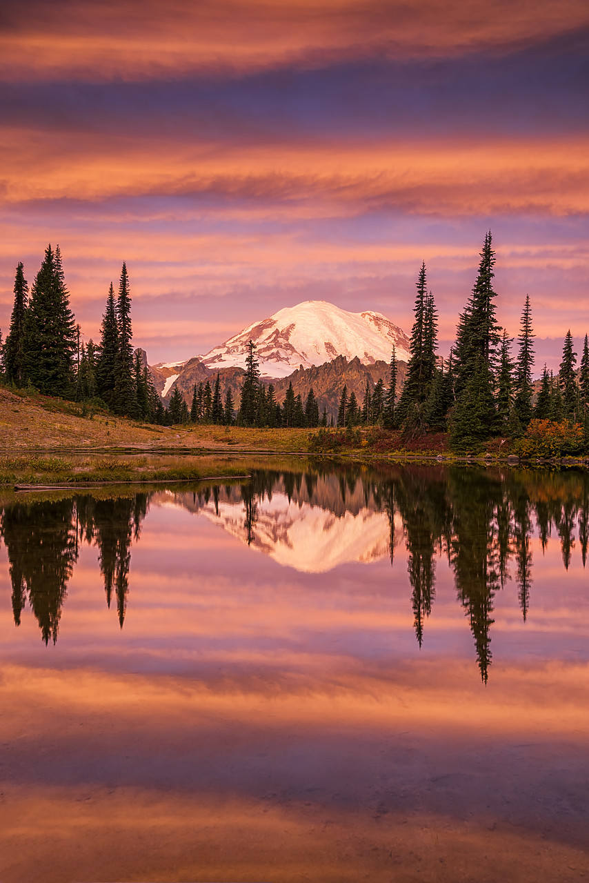 #170496-2 - Mt. Rainier Reflecting in Tipsoo Lake at Sunrise, Mt. Rainier National Park, Washington, USA