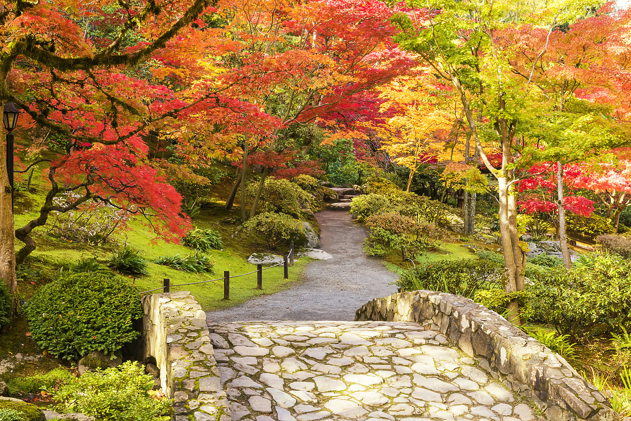 #170603-1 - Japanese Garden in Autumn, Seattle, Washington, USA