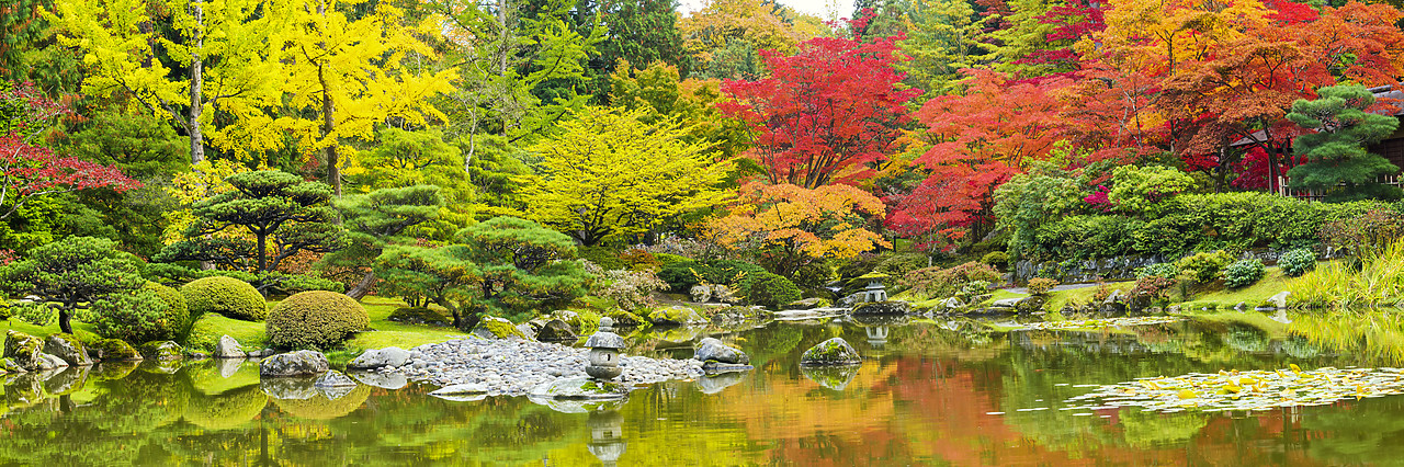 #170608-1 - Japanese Garden in Autumn, Seattle, Washington, USA