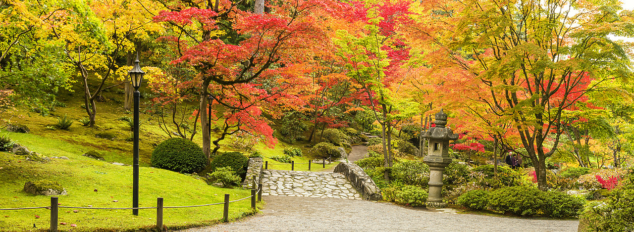 #170609-1 - Japanese Garden in Autumn, Seattle, Washington, USA