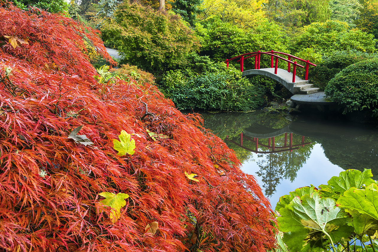#170611-1 - Kubota Japanese Garden in Autumn, Seattle, Washington, USA