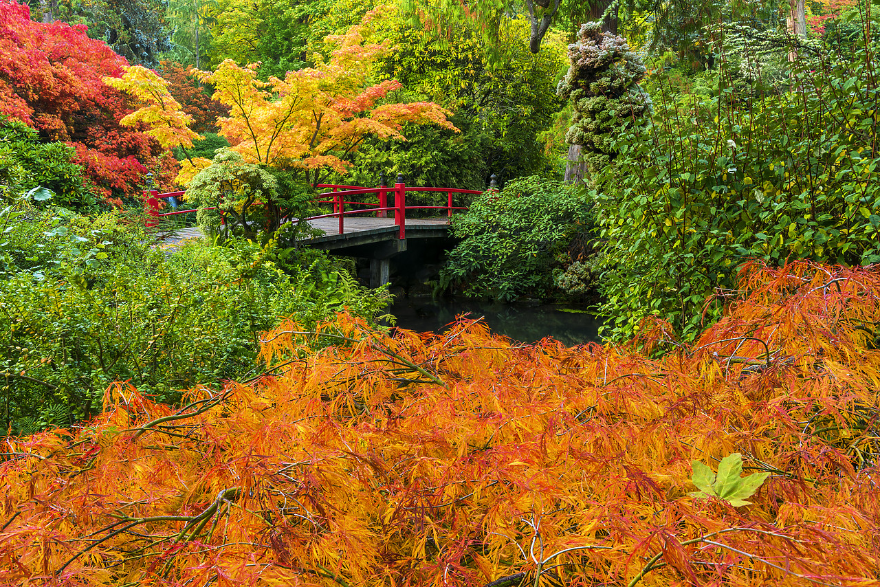 #170612-1 - Kubota Japanese Garden in Autumn, Seattle, Washington, USA