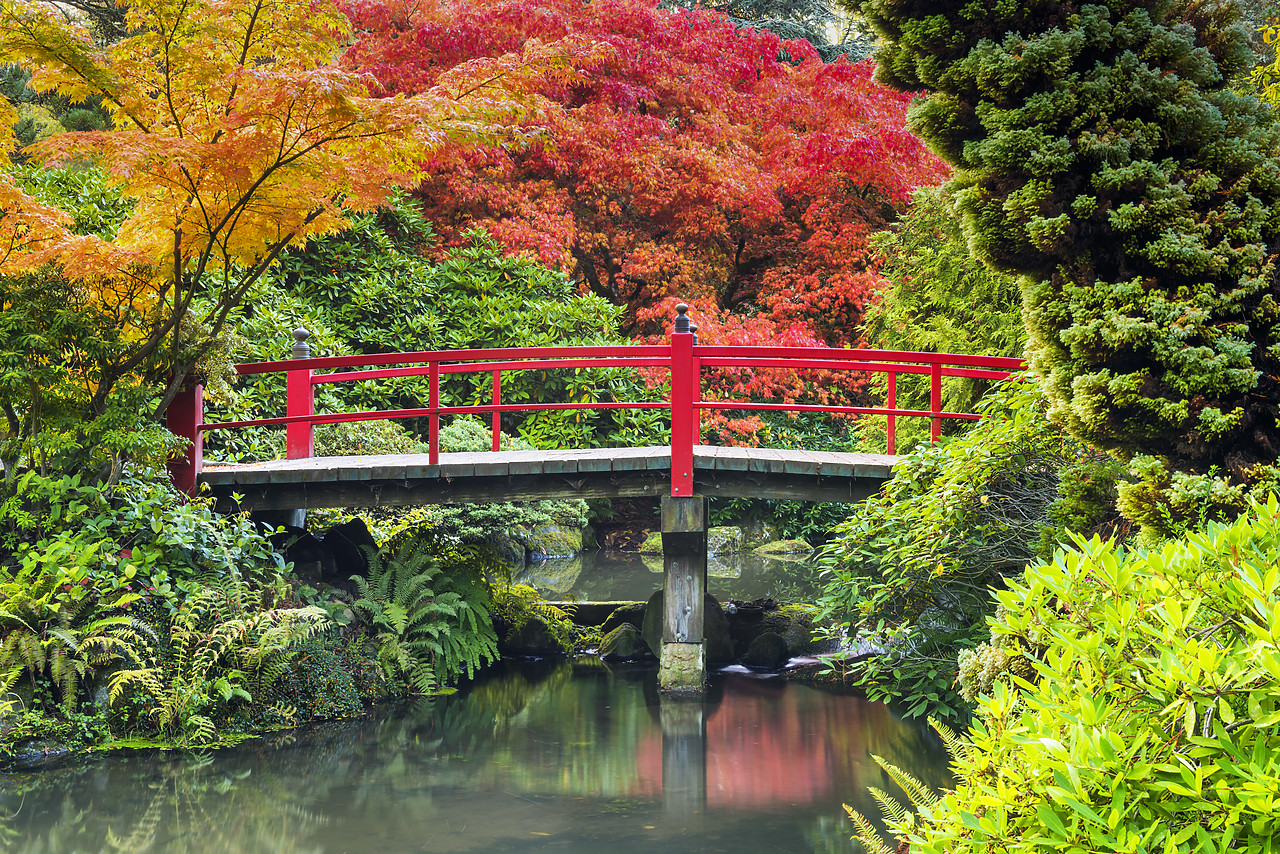 #170613-1 - Kubota Japanese Garden in Autumn, Seattle, Washington, USA