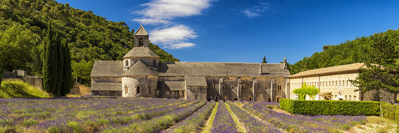 #170655-1 - Abbaye de Senanque, near Gordes, Provence, France