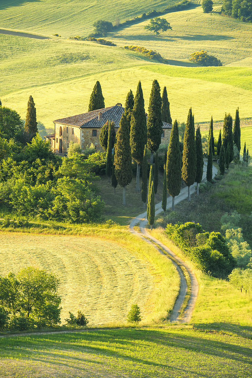 #170744-1 - Road Leading to Belvedere, Val d'Orcia, Tuscany, Italy