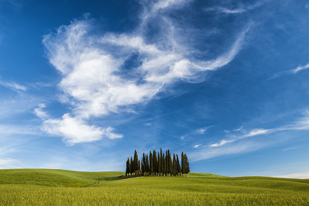 #170749-1 - Cypress Trees & Cloud Formation, Val d'Orcia Tuscany, Italy
