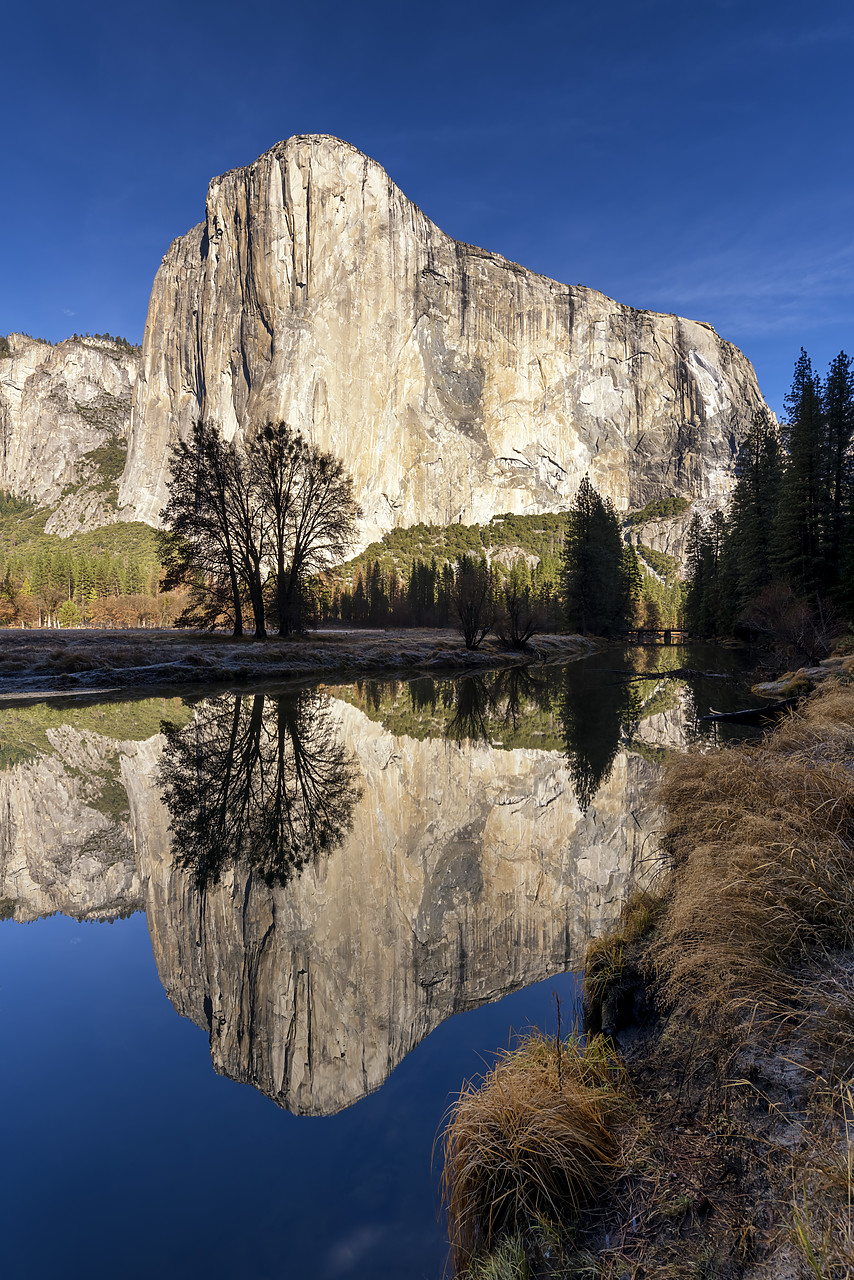 #180016-2 - El Capitan Reflecting in Merced River, Yosemite National Park, California, USA