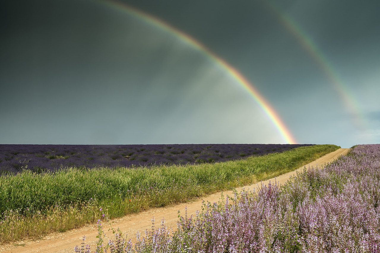 #180292-1 - Country Lane & Double Rainbow, Valensole Plateau, Provence, France