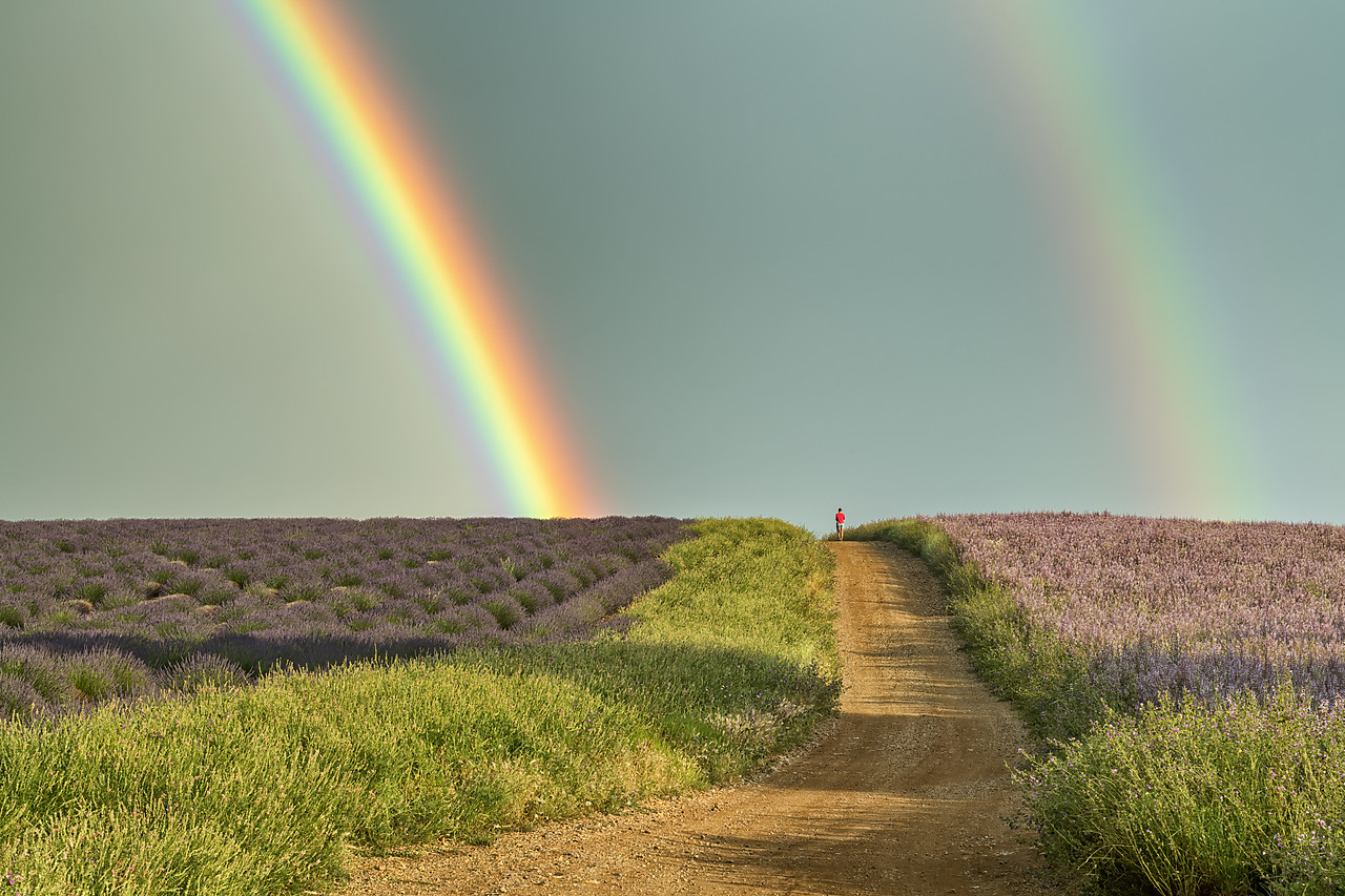 #180293-1 - Country Lane & Rainbow, Valensole Plateau, Provence, France