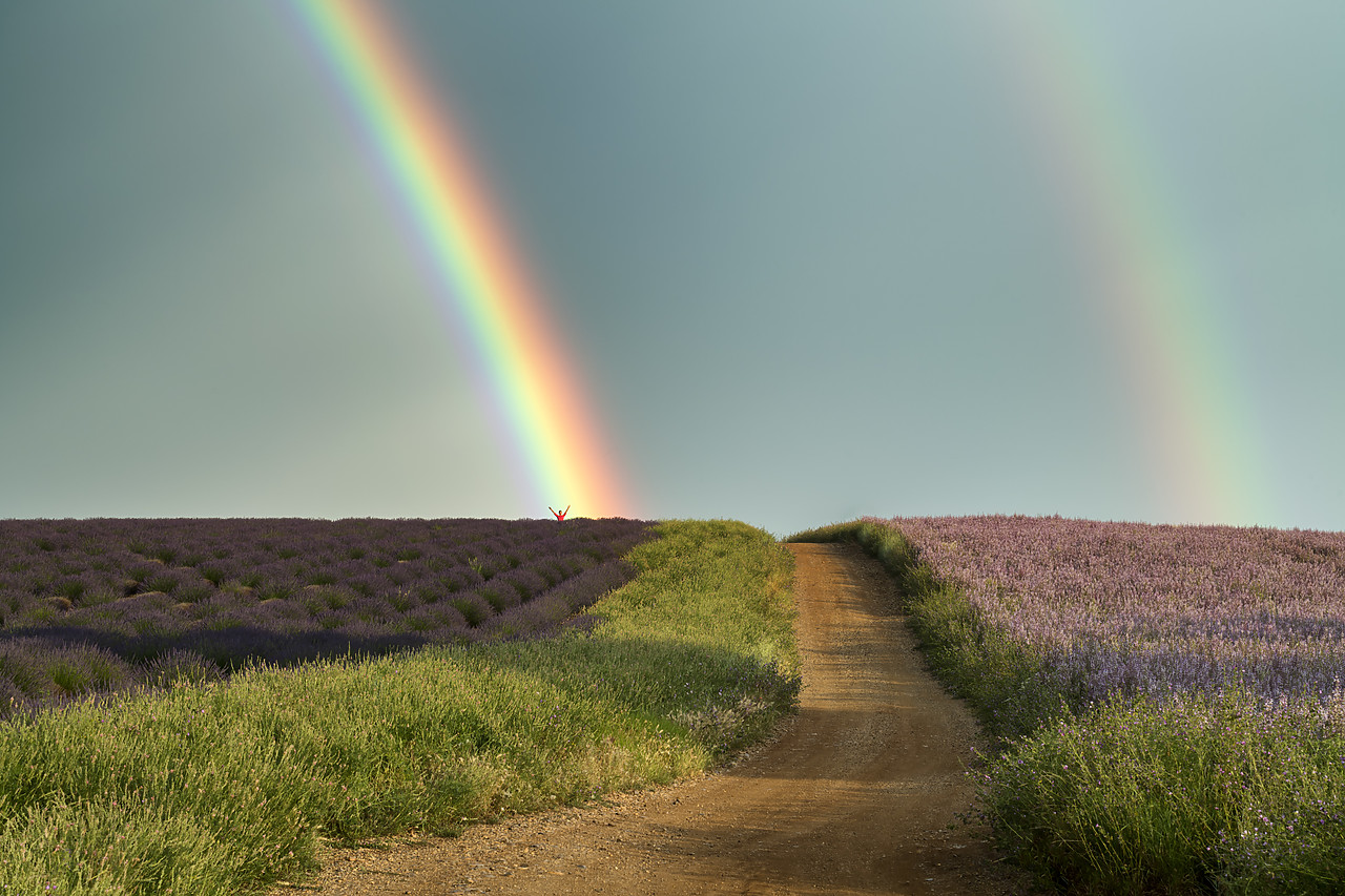 #180294-1 - Country Lane & Rainbow, Valensole Plateau, Provence, France