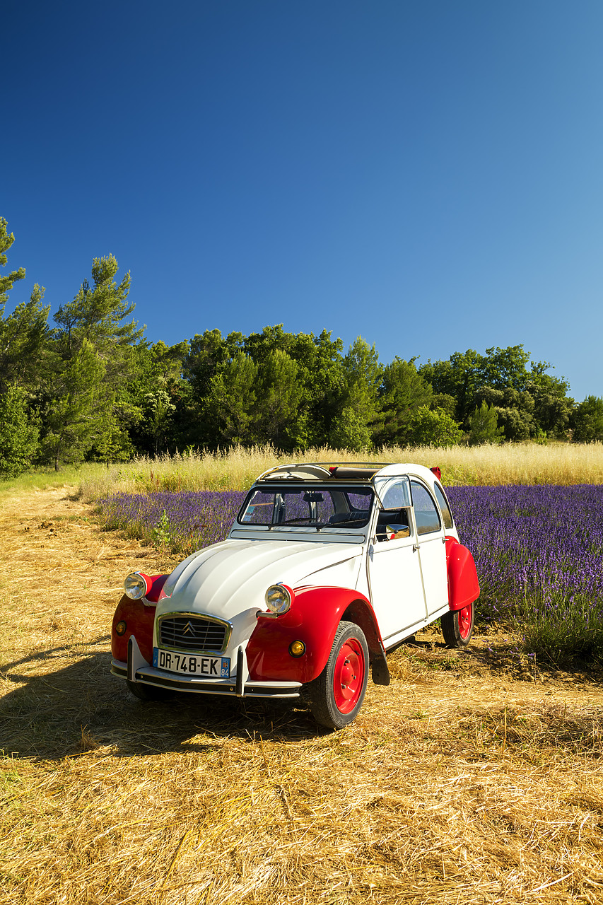 #180319-2 - Classic Citroen 2CV by Field of Lavender, Provence, France