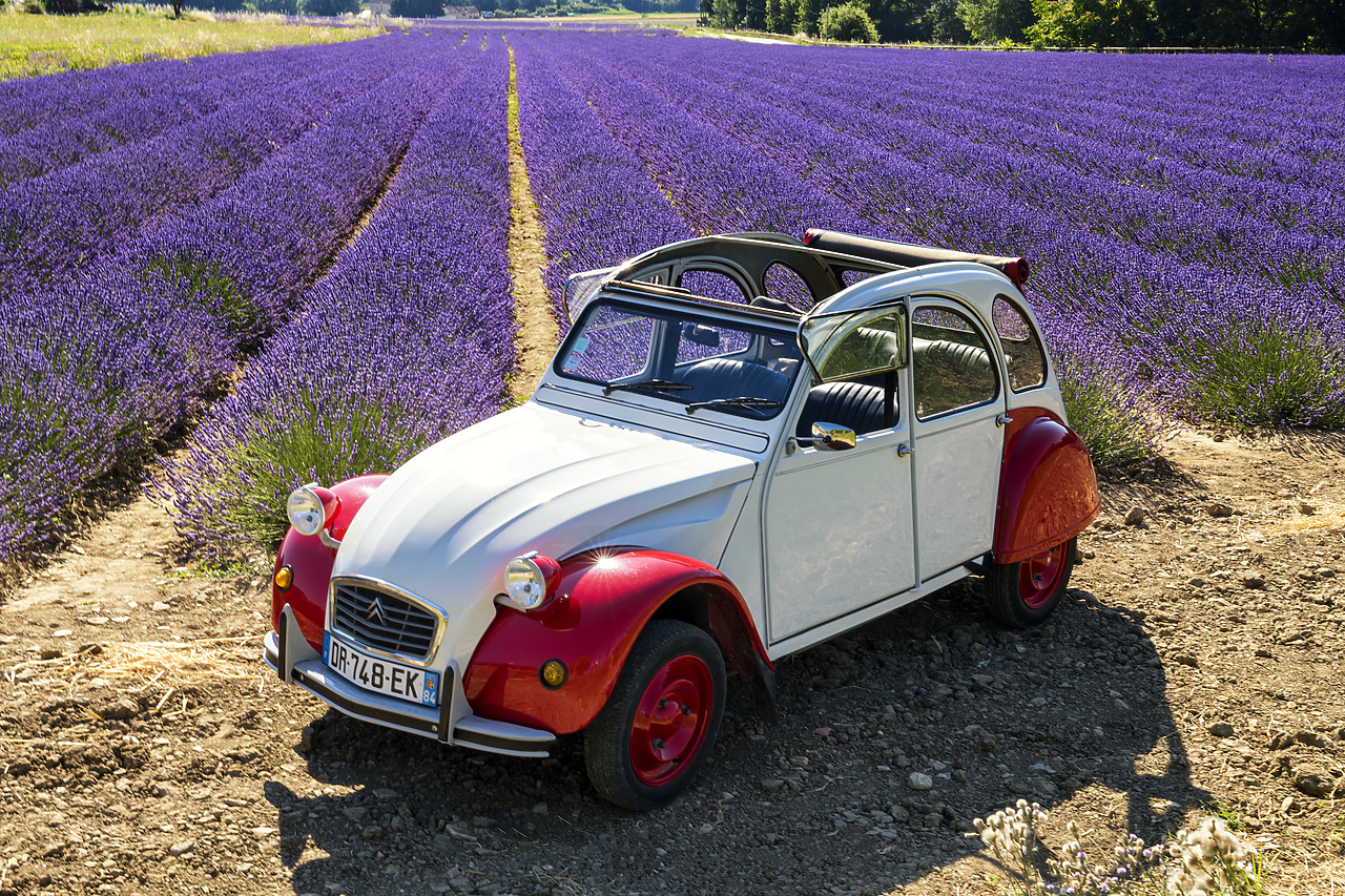 #180321-1 - Classic Citroen 2CV by Field of Lavender, Provence, France