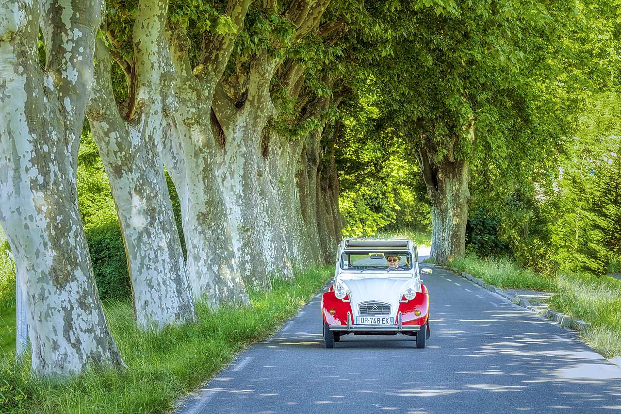 #180323-1 - Classic Citroen 2CV on Tree-lined Road, Provence, France
