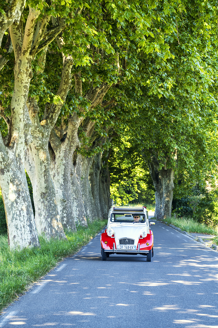 #180323-2 - Classic Citroen 2CV on Tree-lined Road, Provence, France