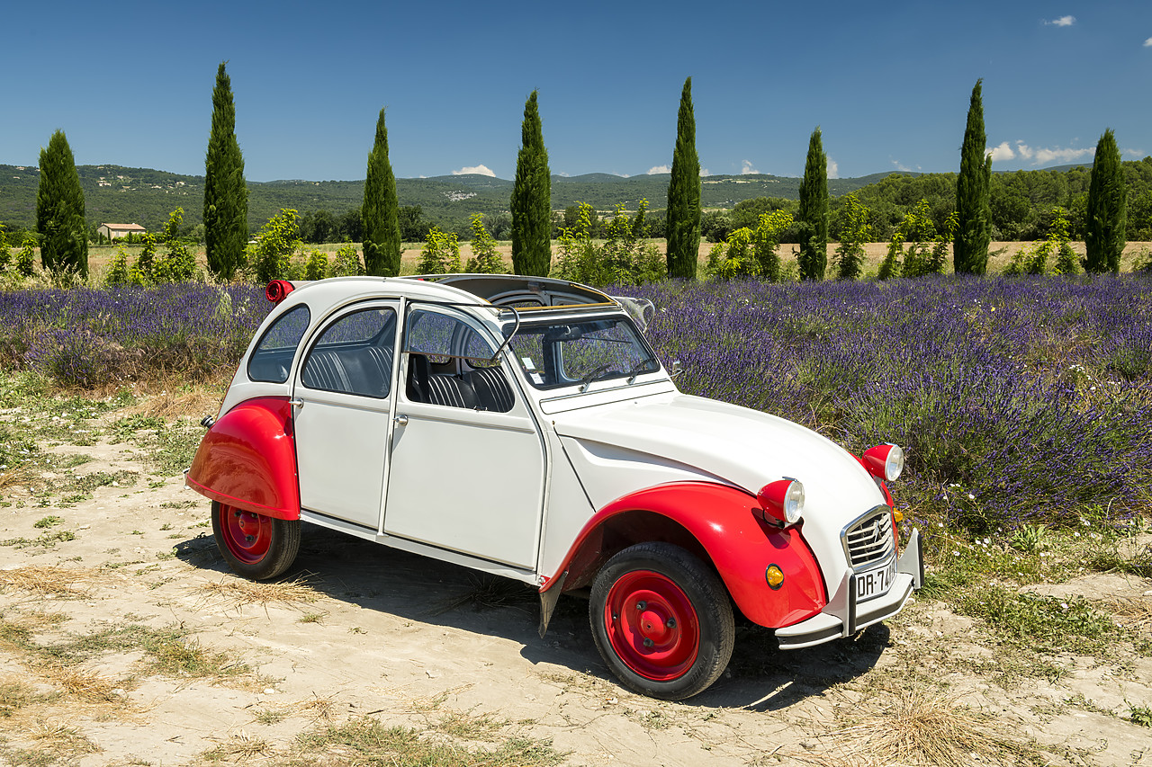 #180328-1 - Classic Citroen 2CV by Field of Lavender, Provence, France