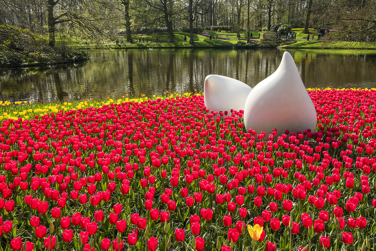 #180342-1 - Keukenhof Gardens, Lisse, Holland, Netherlands