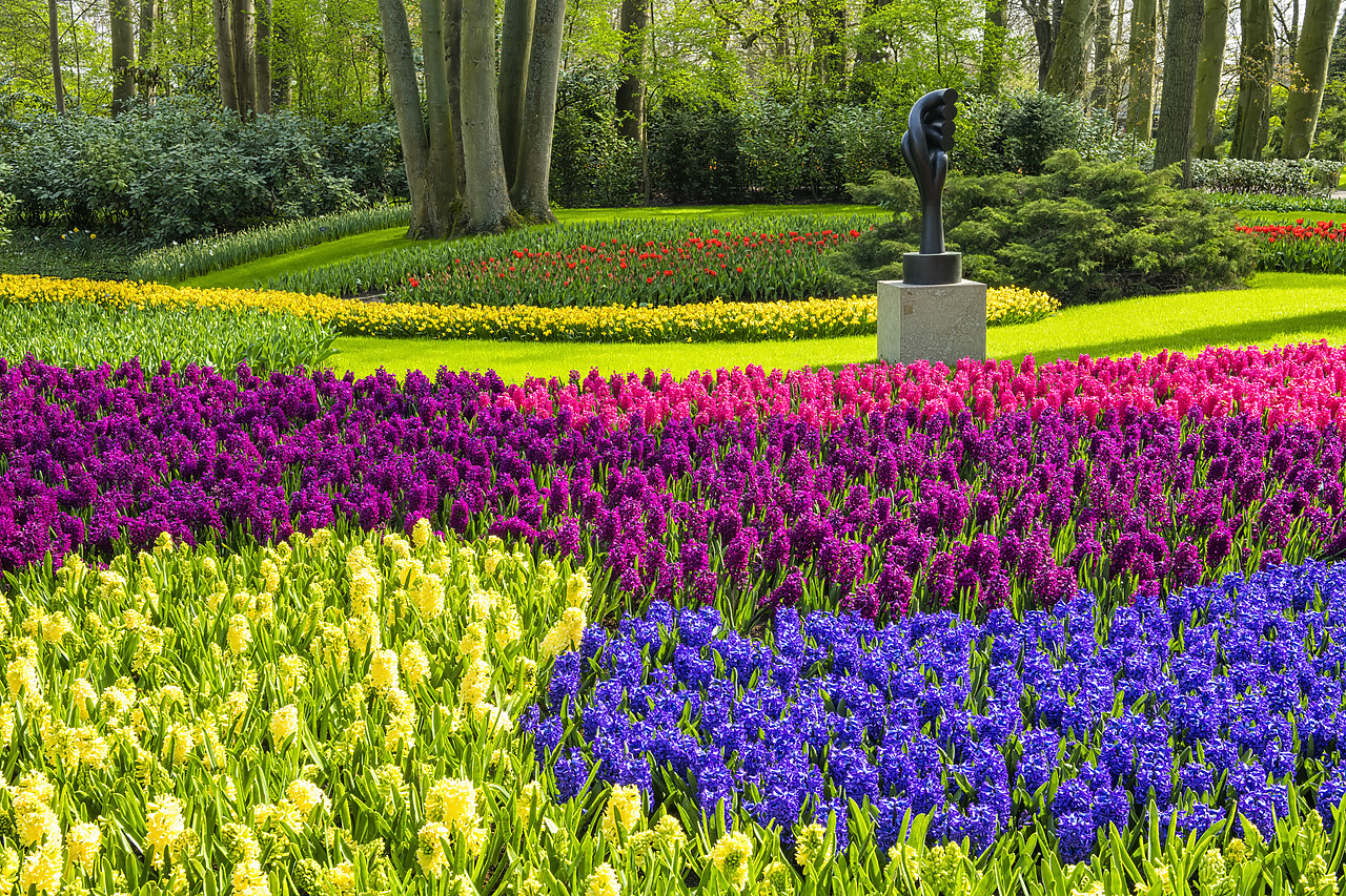 #180343-1 - Keukenhof Gardens, Lisse, Holland, Netherlands