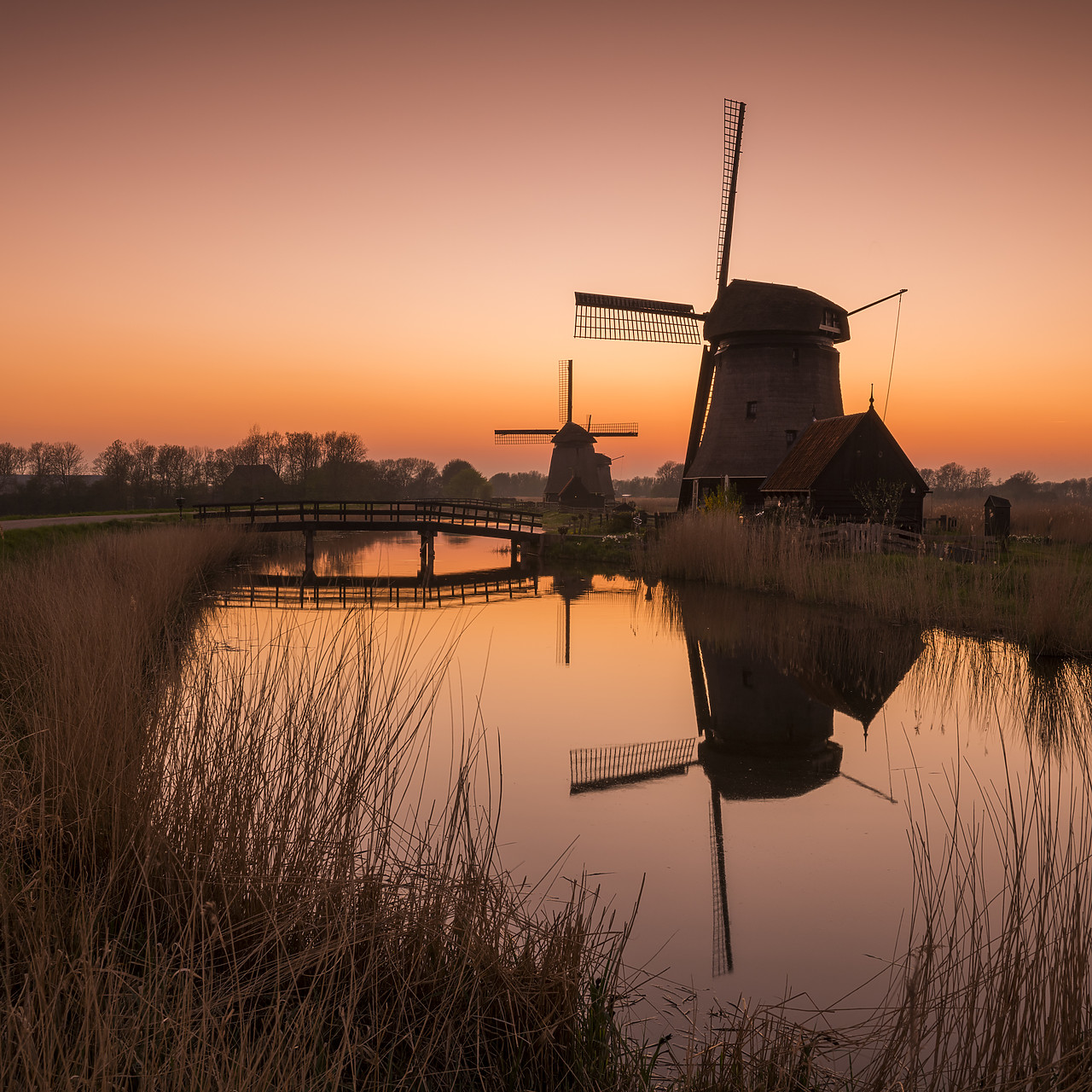 #180354-2 - Windmills at Sunrise, Oterleek, Holland, Netherlands