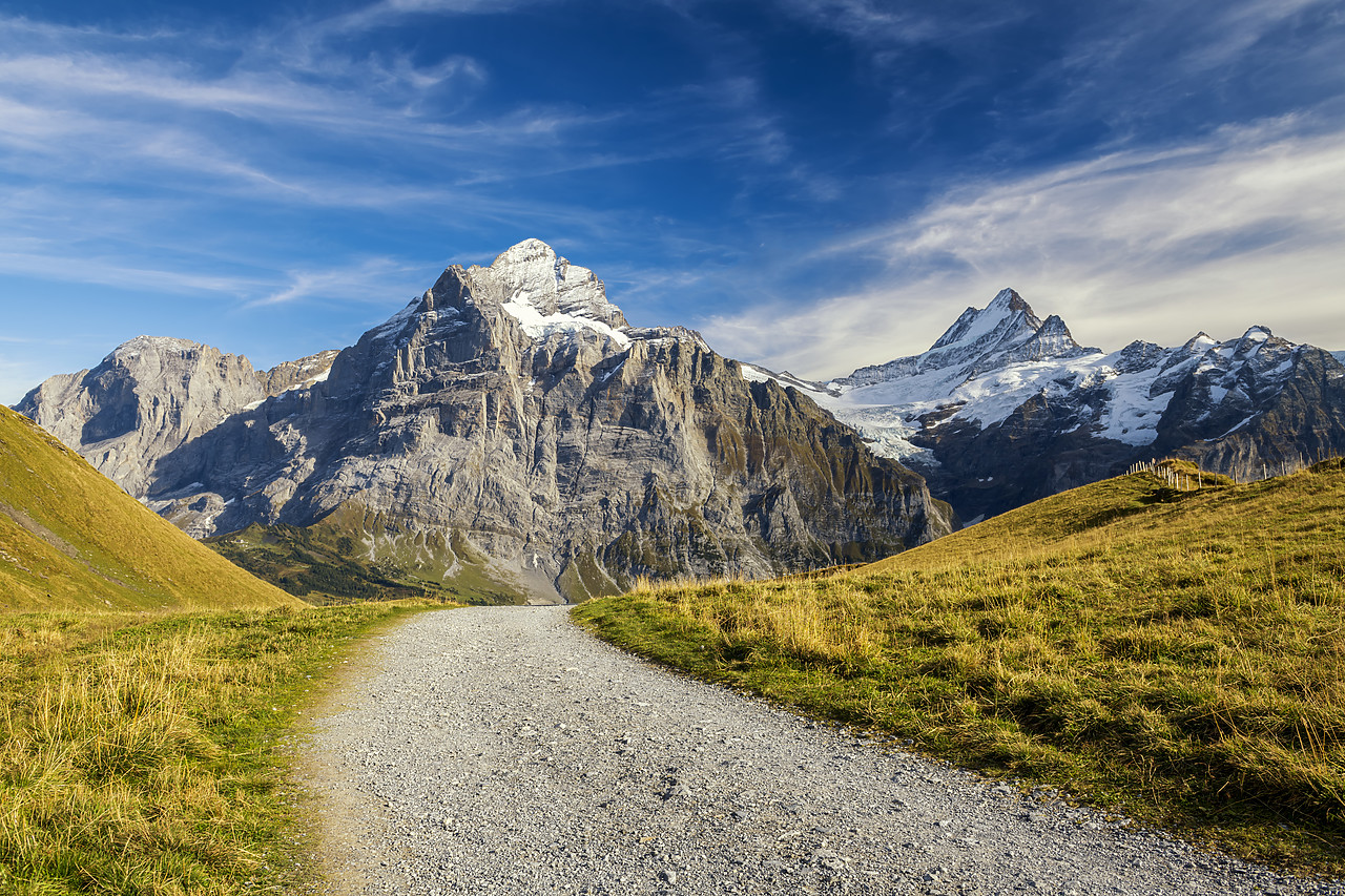 #180419-1 - Hiking Path with Wetterhorn & Schreckhorn, Grindelwald, Bernese Oberland, Switzerland