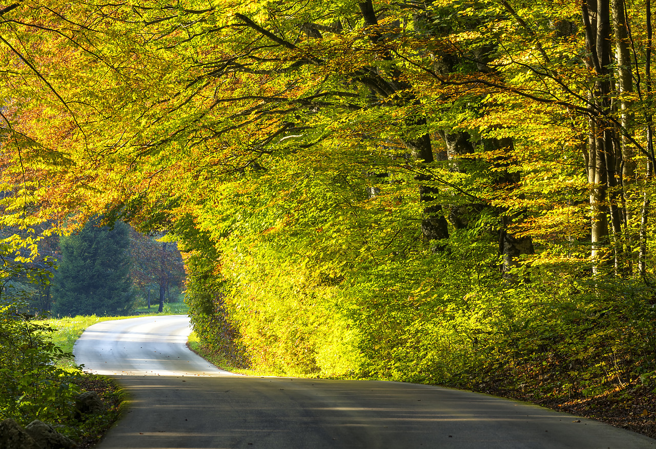 #180438-1 - Country Lane in Autumn, Plitvice National Park, Croatia