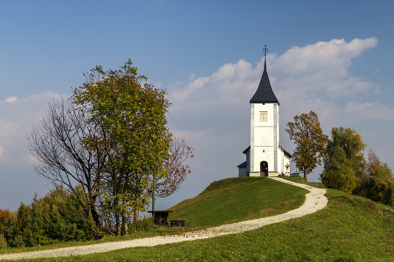 #180465-1 - Path Leading to Jamnik Church, Slovenia