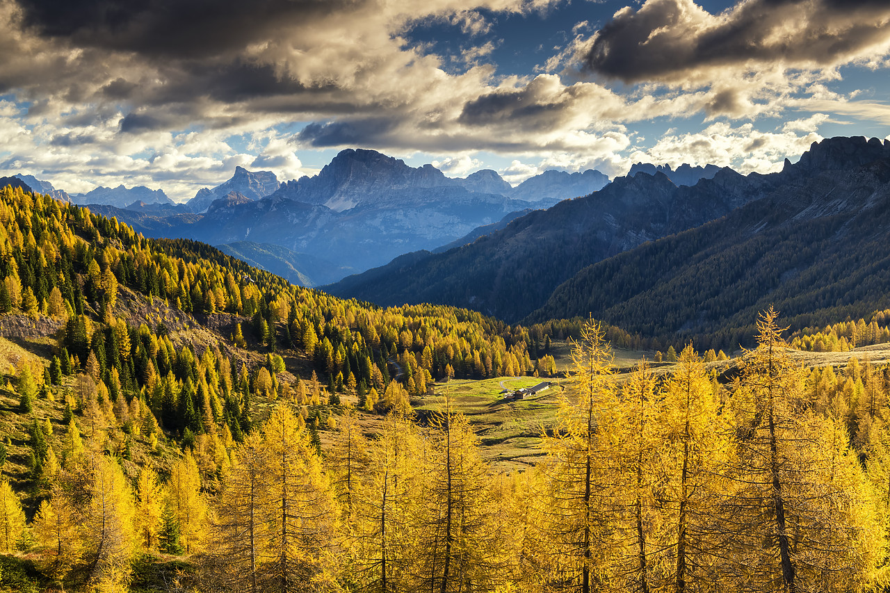 #180480-1 - Valley of Autumn Larches, Marmolada, Dolomites, Italy