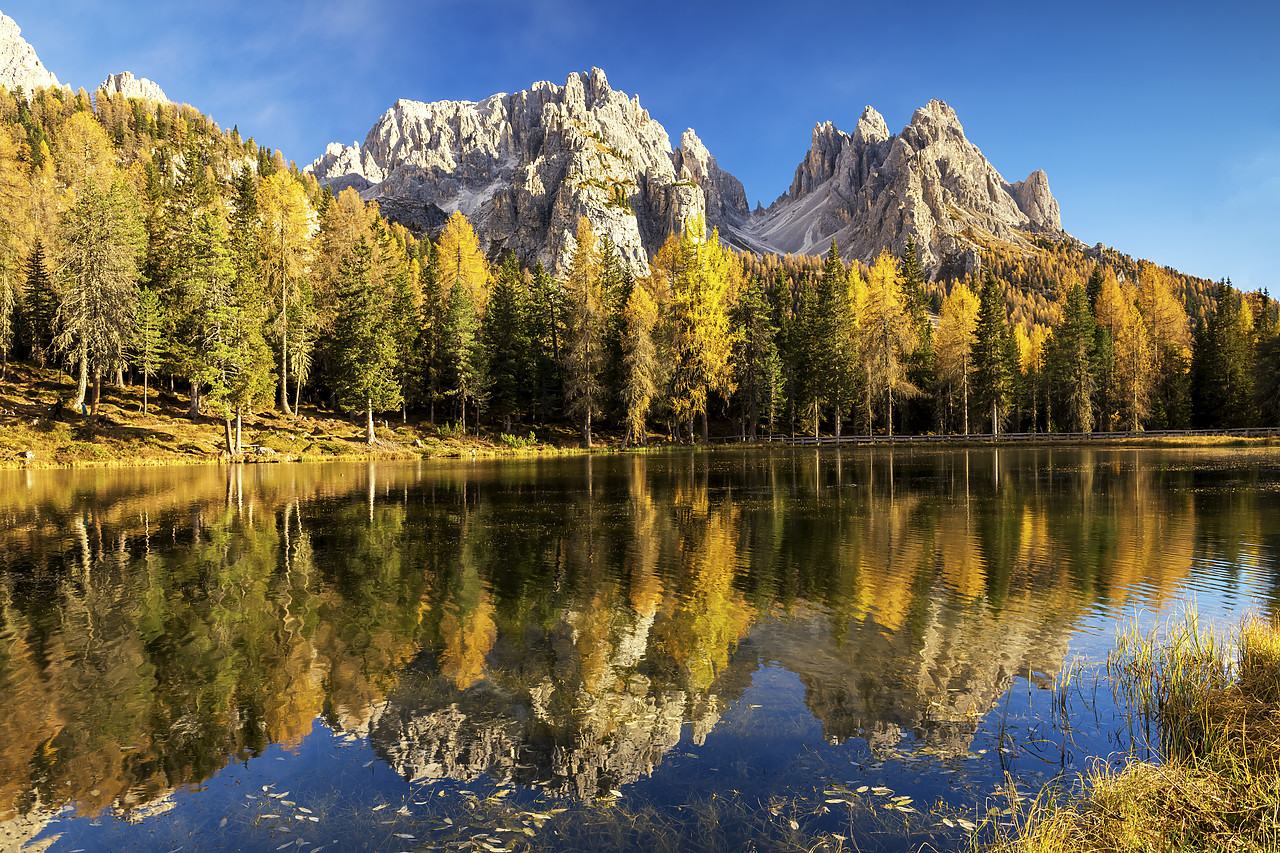 #180484-1 - The Cadinis Reflecting in Lake Antorno in Autumn, Dolomites, Italy