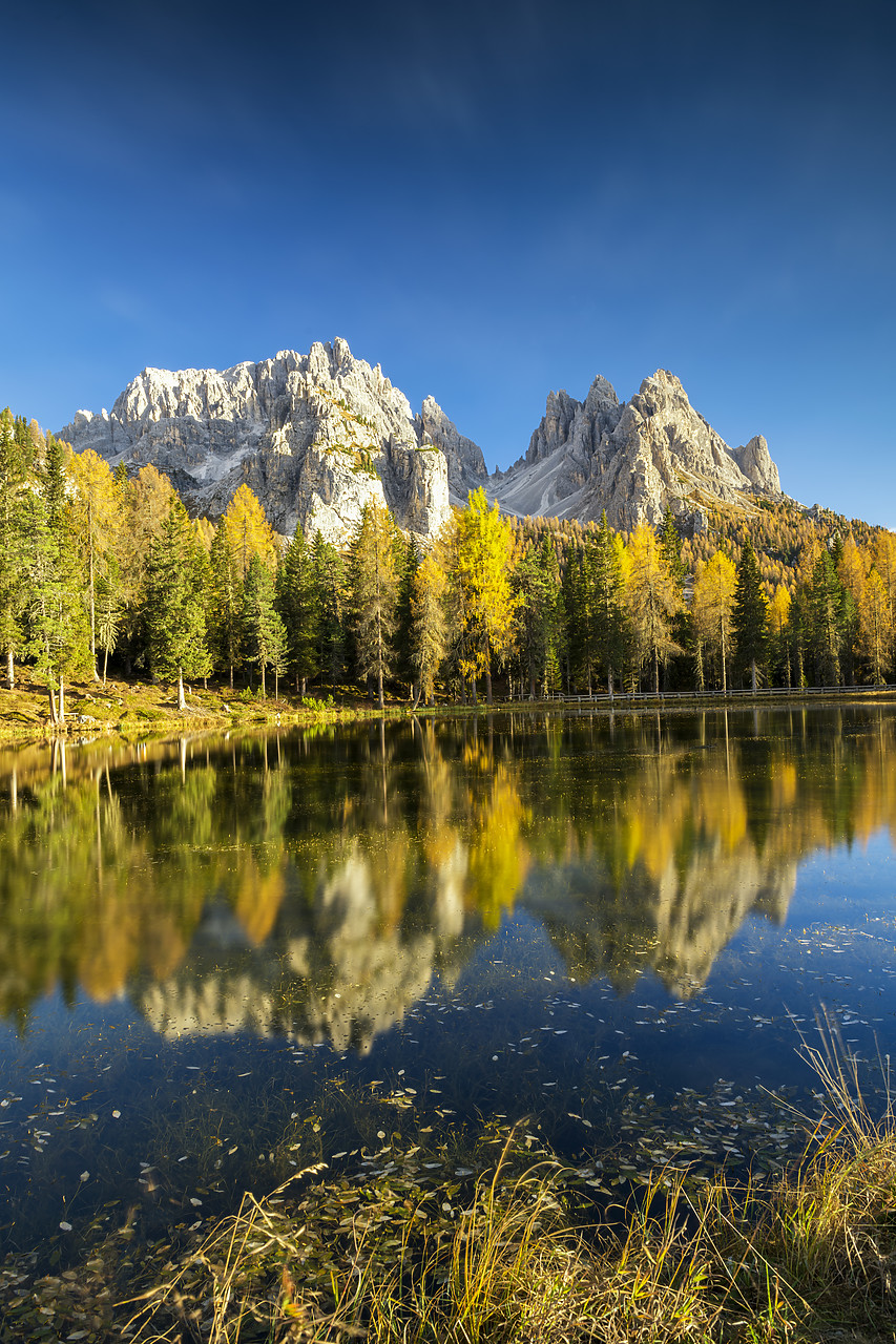 #180484-2 - The Cadinis Reflecting in Lake Antorno in Autumn, Dolomites, Italy