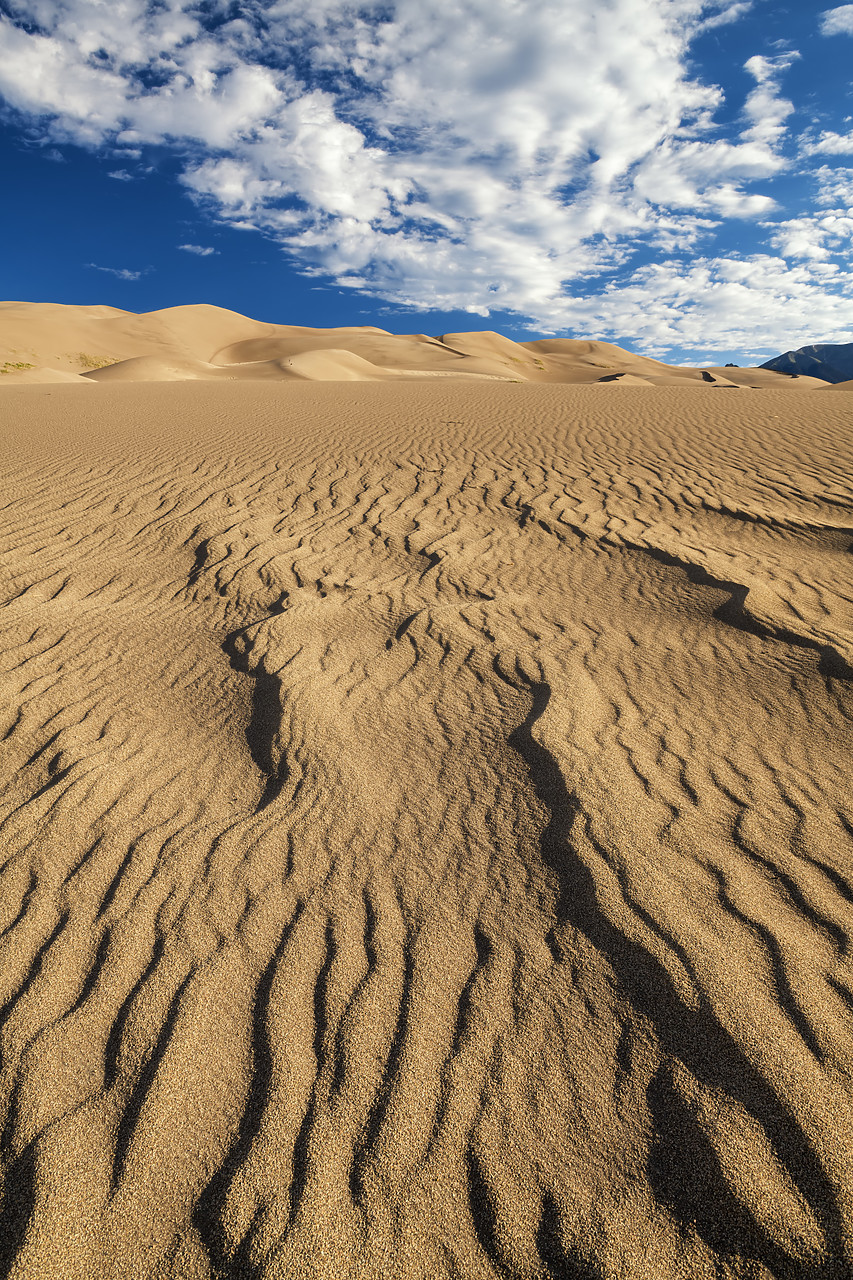 #190246-1 - Sand Dune Patterns, Great Sand Dunes National Park, Colorado, USA