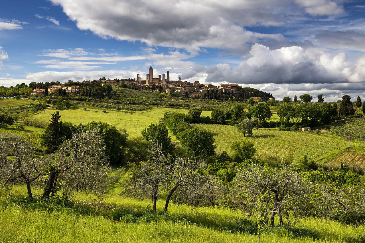 #190397-1 - San Gimignano, Tuscany, Italy