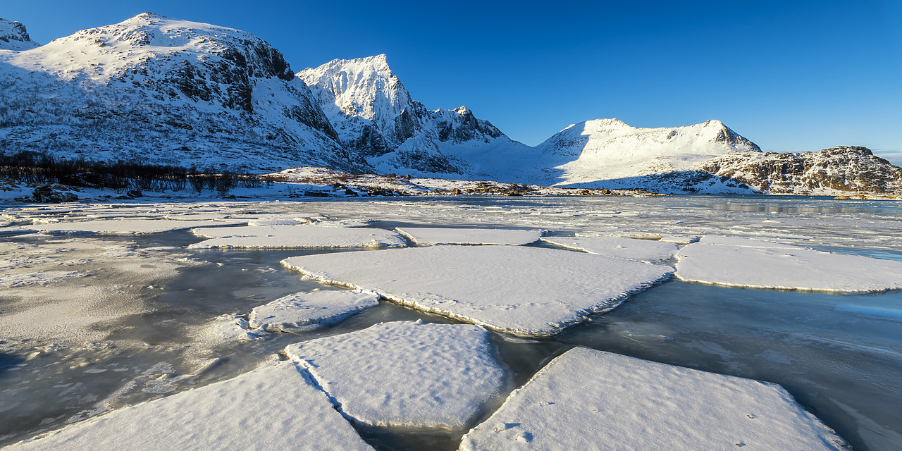 #190430-1 - Ice Sheets in Flakstadpollen,  Lofoten Islands, Norway
