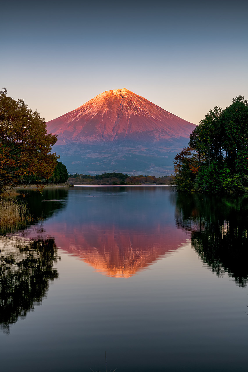 #190617-2 - Mt. Fuji Reflecting in Lake Tanuki, Fujinomiya, Shizouka, Honshu, Japan