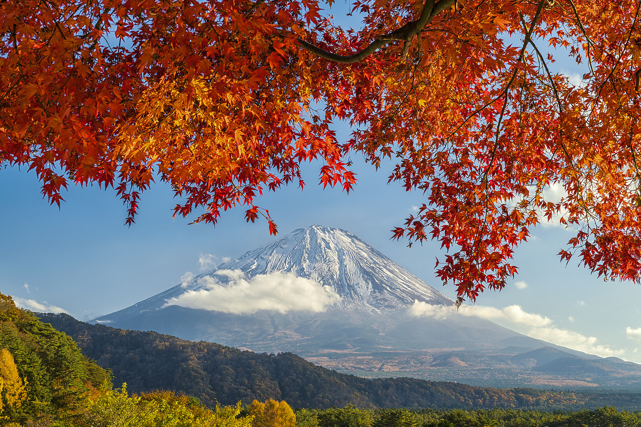 #190625-1 - Mt. Fuji in Autumn,  Fujinomiya, Shizouka, Honshu, Japan