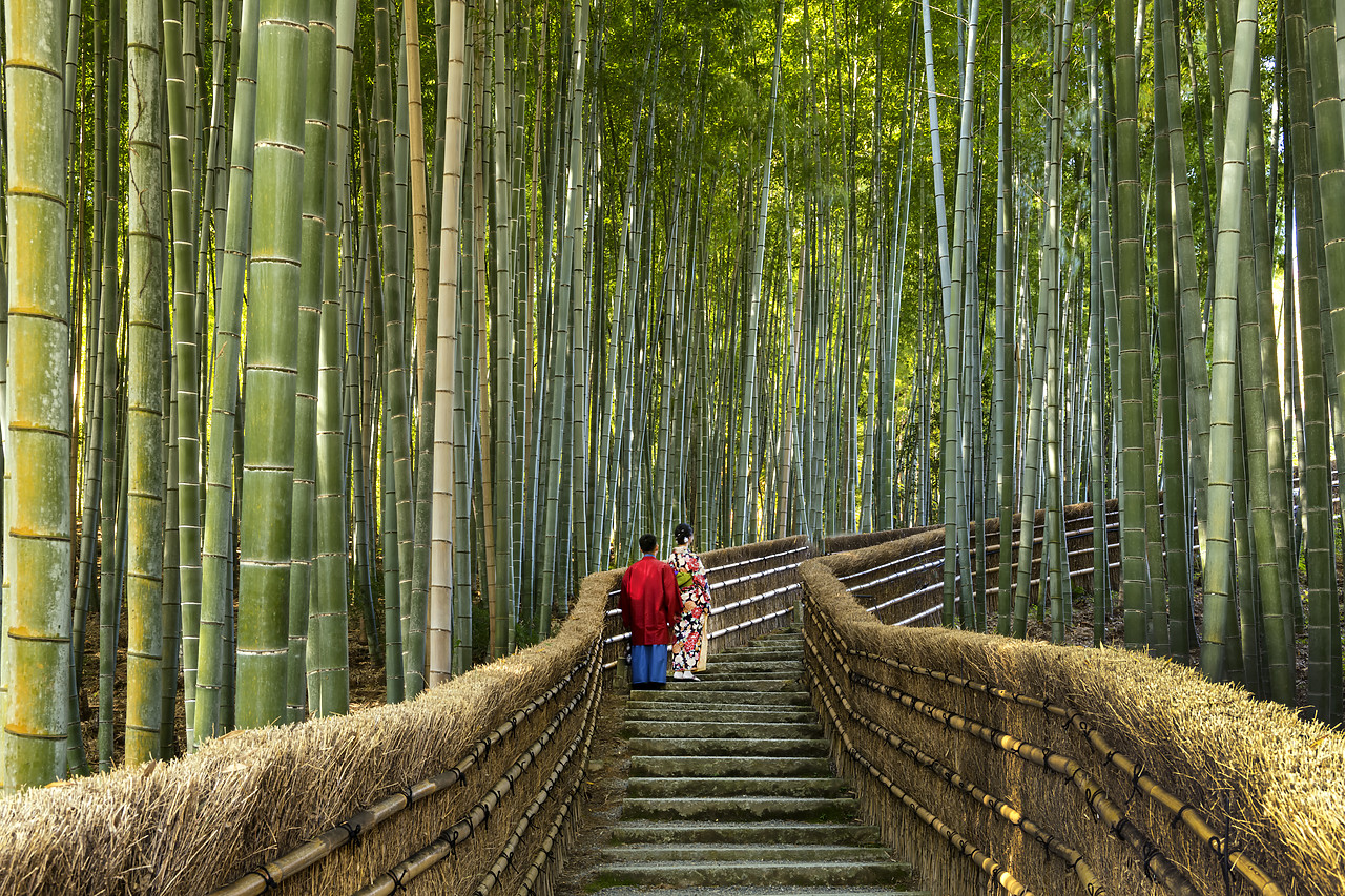 #190652-1 - Japanese Couple on Steps Through Bamboo Forest, Adashino Nembutsu-ji Temple, Arashiyama, Kyoto, Japan