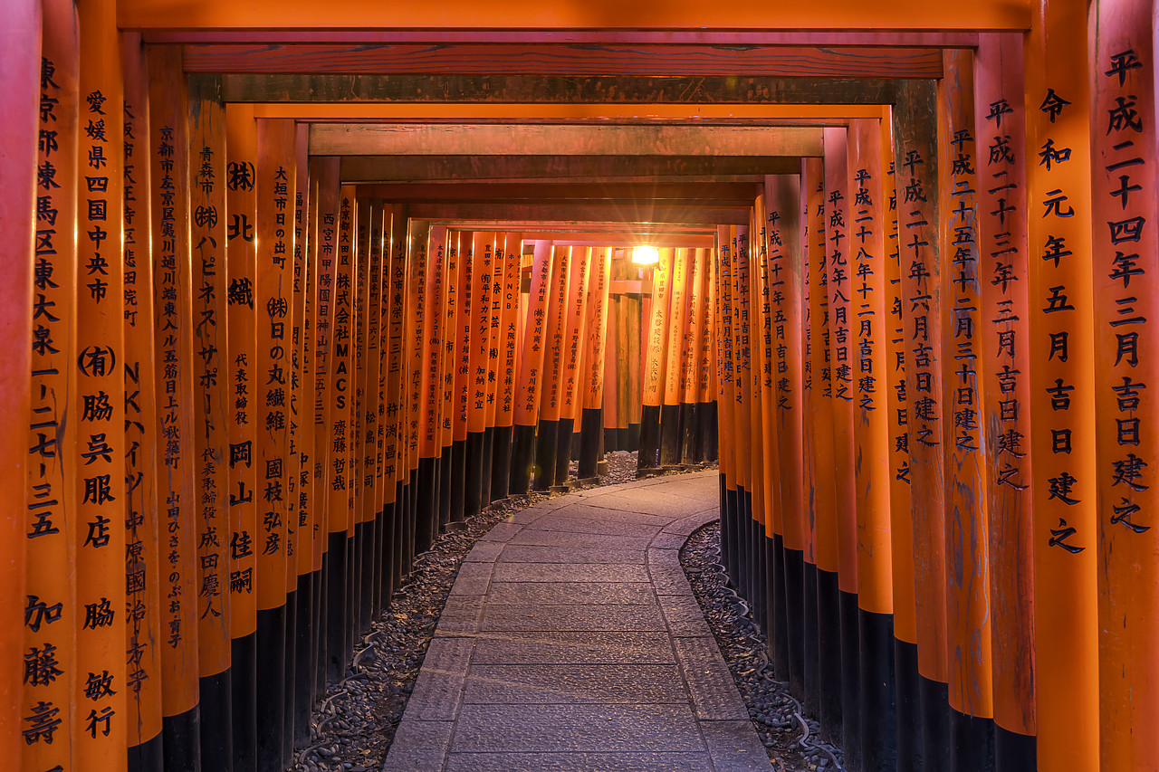#190661-1 - Fushimi Inari shrine, Torii gates, Kyoto, Japan