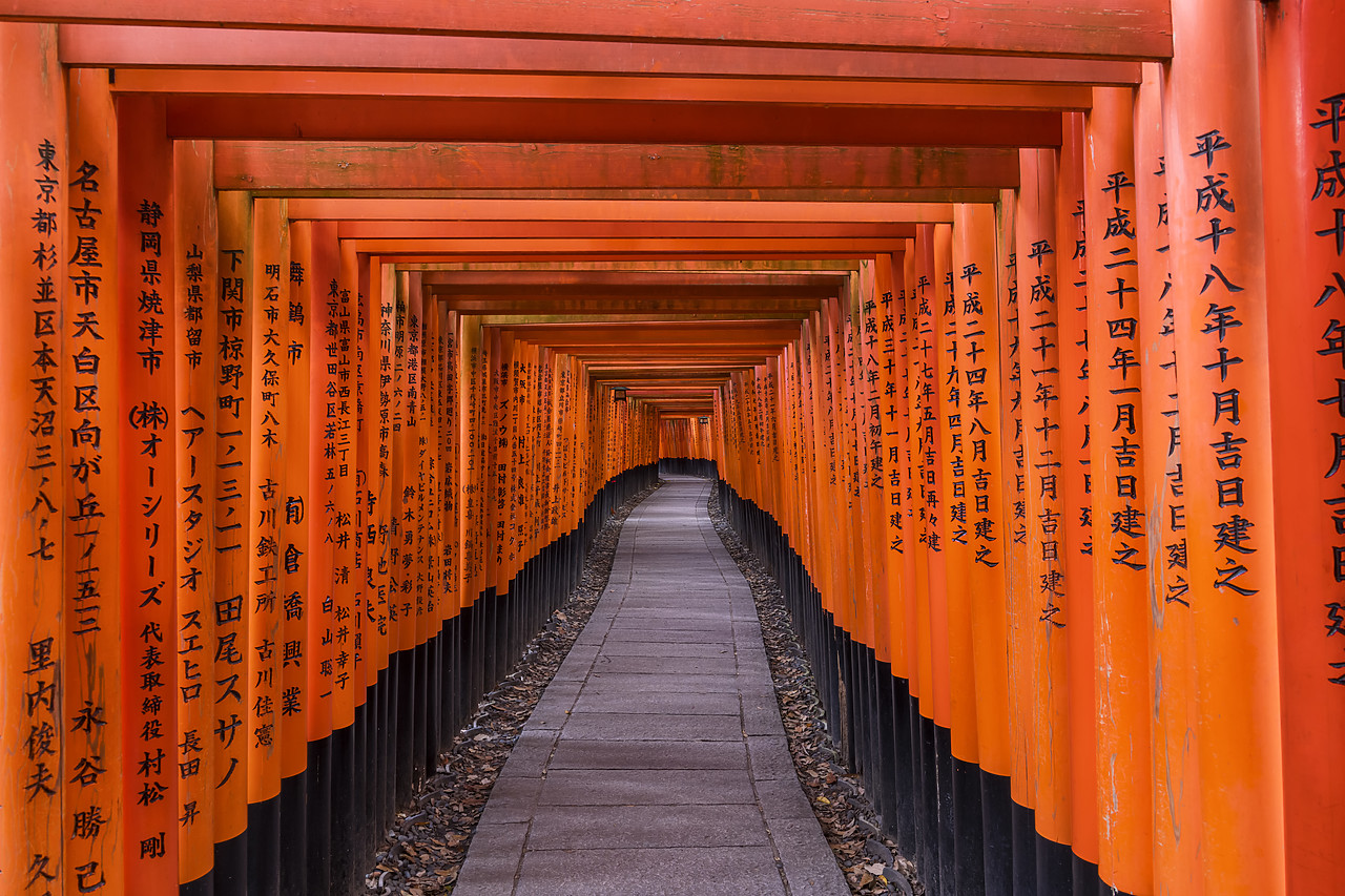 #190662-1 - Fushimi Inari shrine, Torii gates, Kyoto, Japan