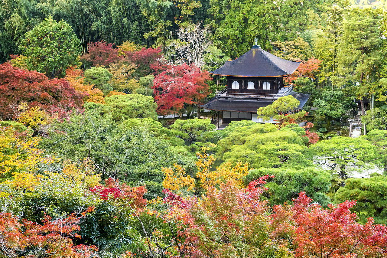 #190675-1 - Ginkaku-ji Silver Pavilion in Autumn, Kyoto, Japan